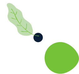 عن المنصة
